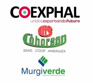 Iniciativa Coexplay: CEIP Artero Pérez